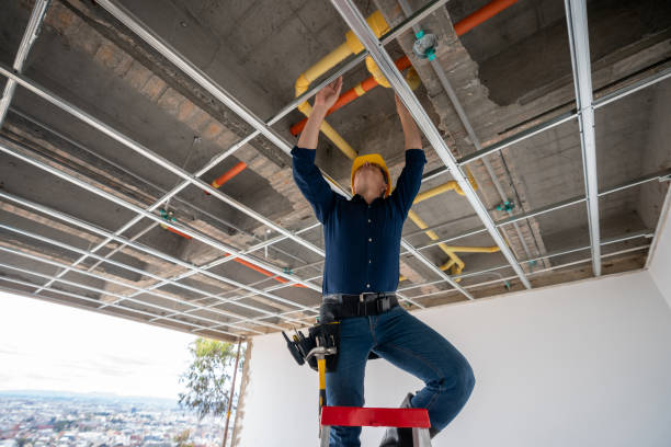 Best 24-Hour Plumber Near Me  in Rushford, MN