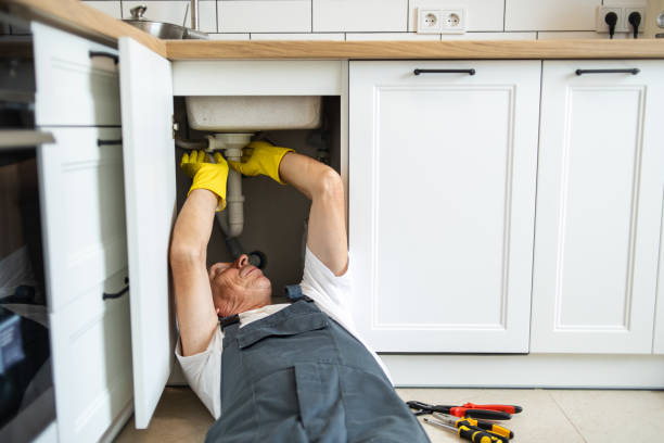 Best Water Softener Installation  in Rushford, MN